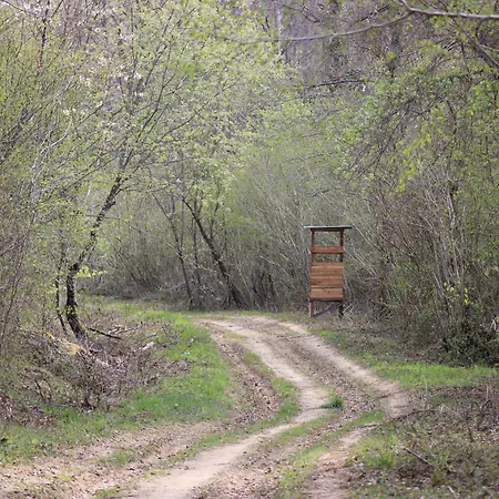 Domaine De Balesta * Roquefort-sur-Garonne